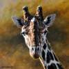 Giraffic - Oil On Canvas Paintings - By Simba   Robert Makoni, Oils Painting Artist